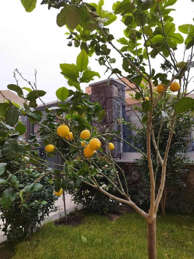 Фото Rooms alCentro