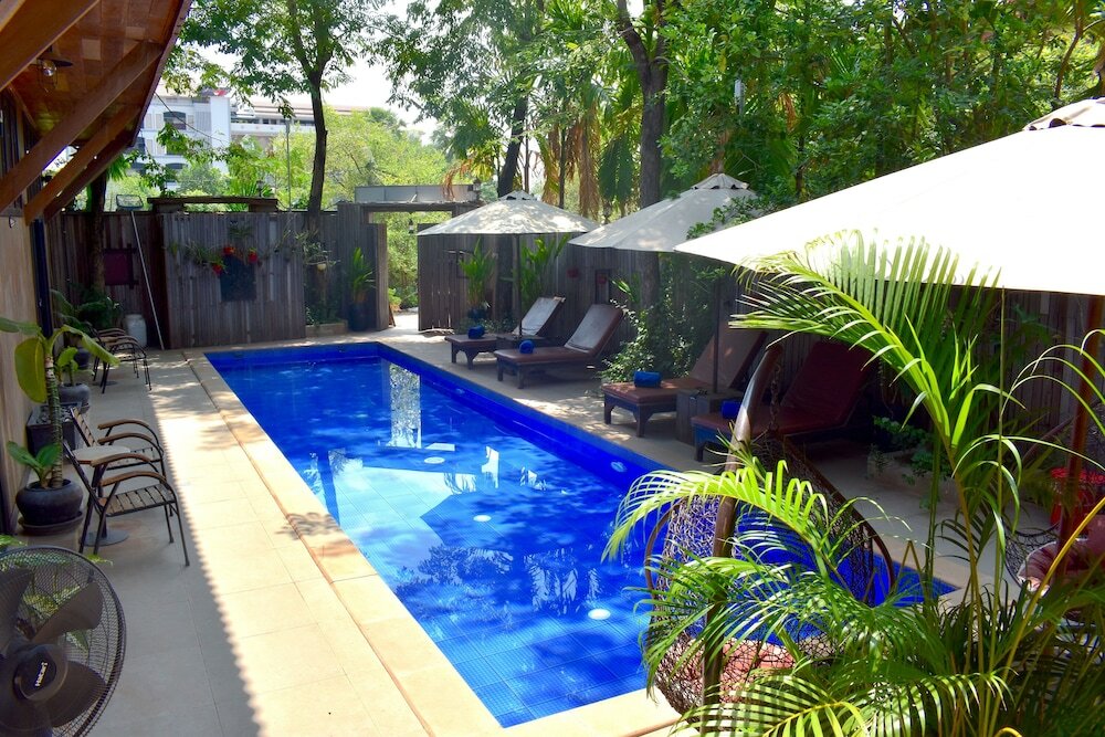 Фото Three Little Birds