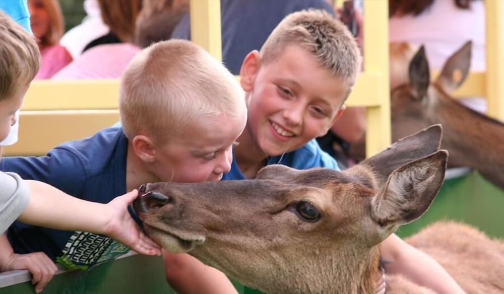 Фото Ashton Court Hotel