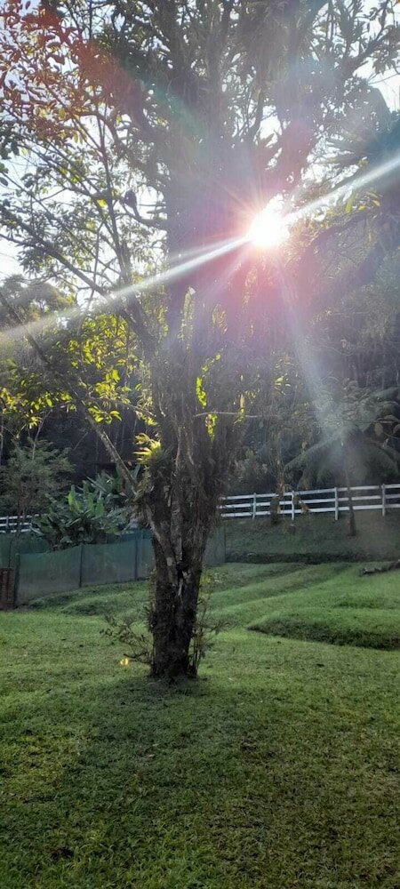 Фото Pousada Bosque do Visconde