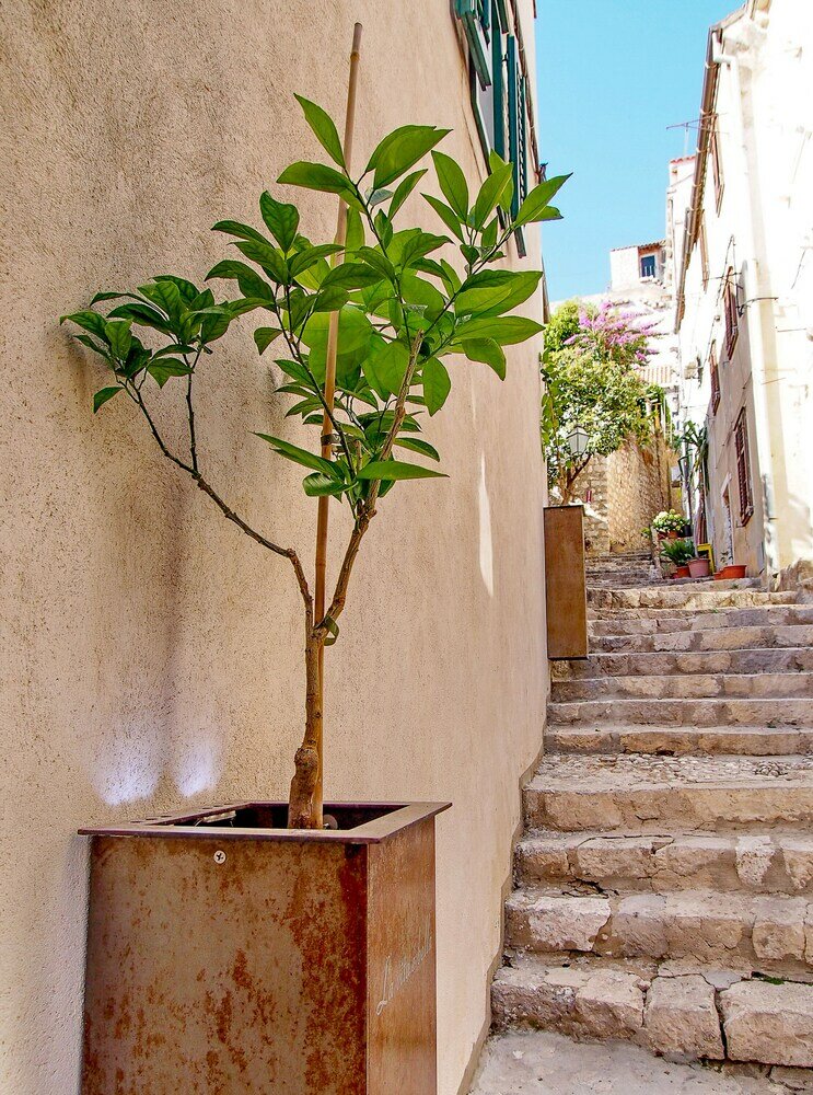 Фото La Vita e Bella II