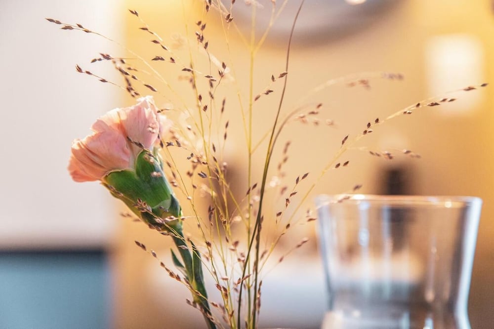 Фото Krone Zurich