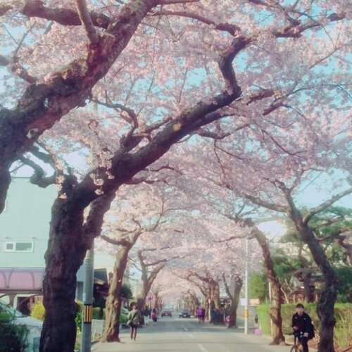 Гостиница Stay Akeboshi Kan в Хакодате