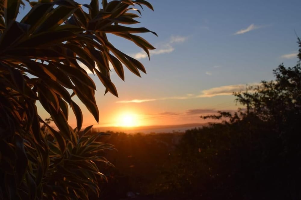 Фото Marola's Búzios