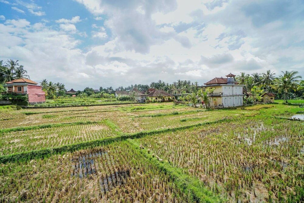 Фото Molecha Guest House