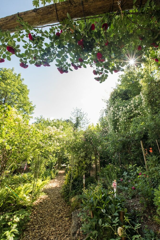 Фото Hotel Promenade