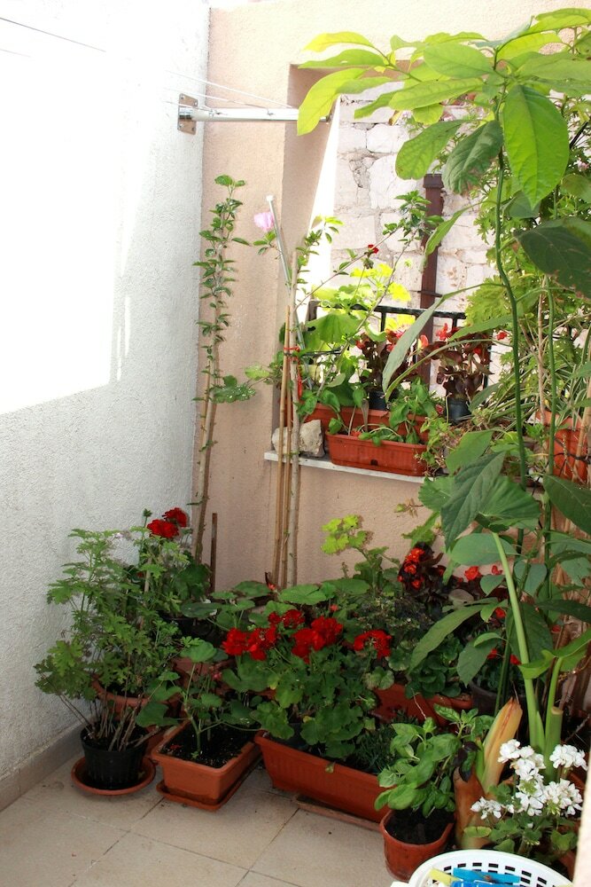 Фото Apartment Bucevic