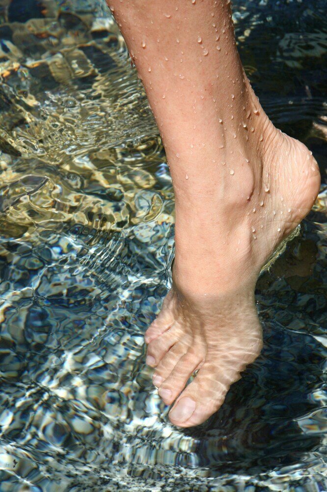 Фото Ferienwohnung Chiemsee