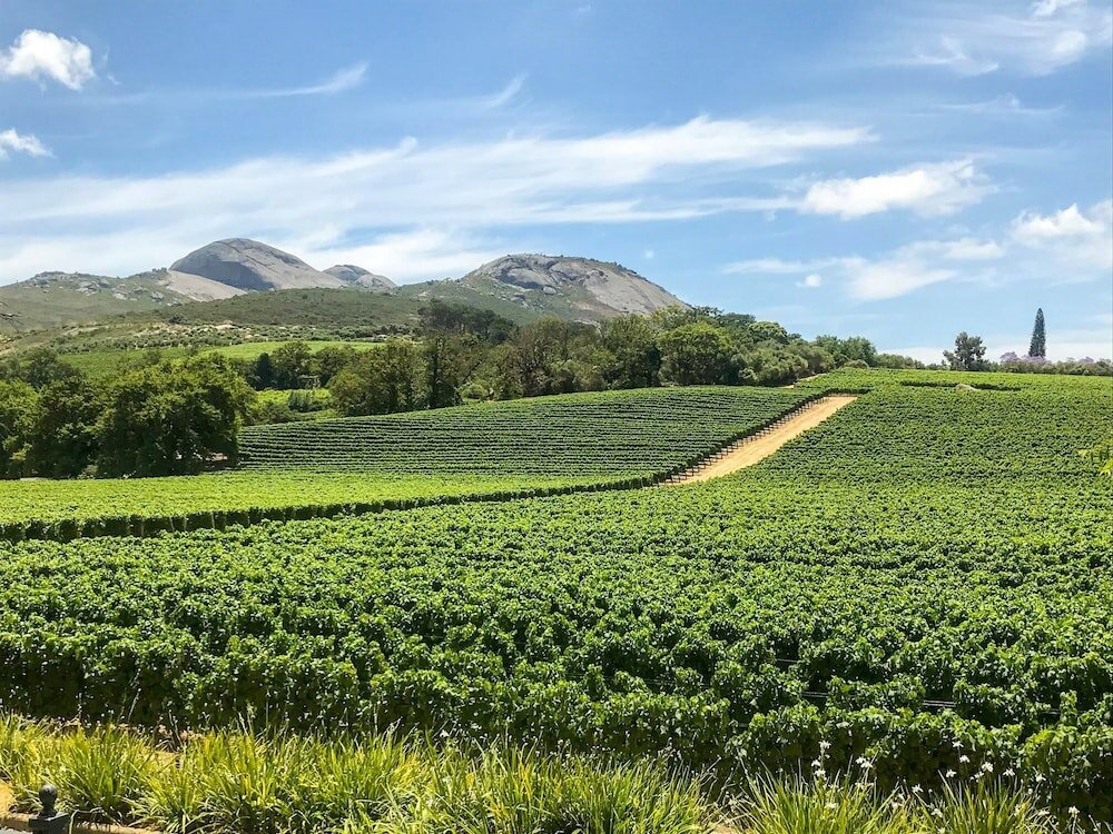 Фото Laborie Estate