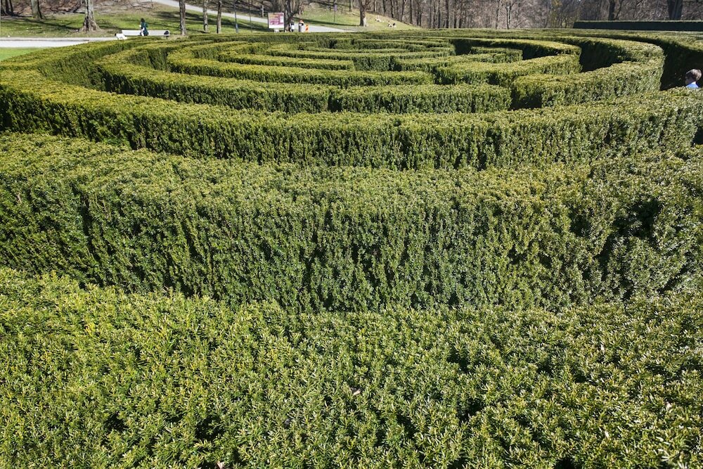 Фото Treetop SPA Hangout & Hotel