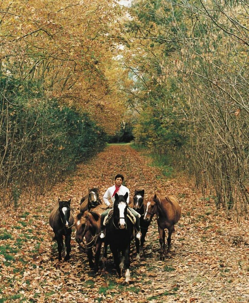 Фото Estancia La Candelaria