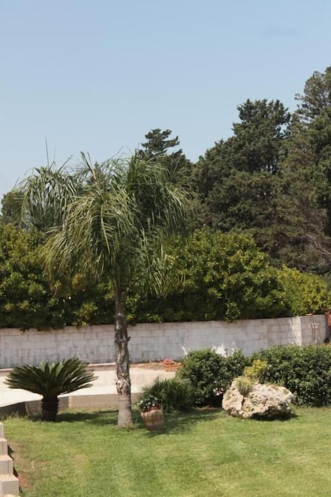 Фото Tenuta Turchi