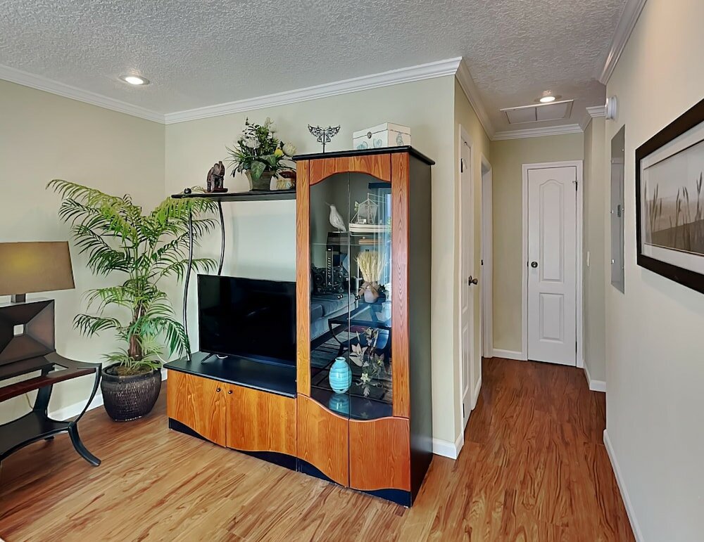 Фото Sea Urchin 39