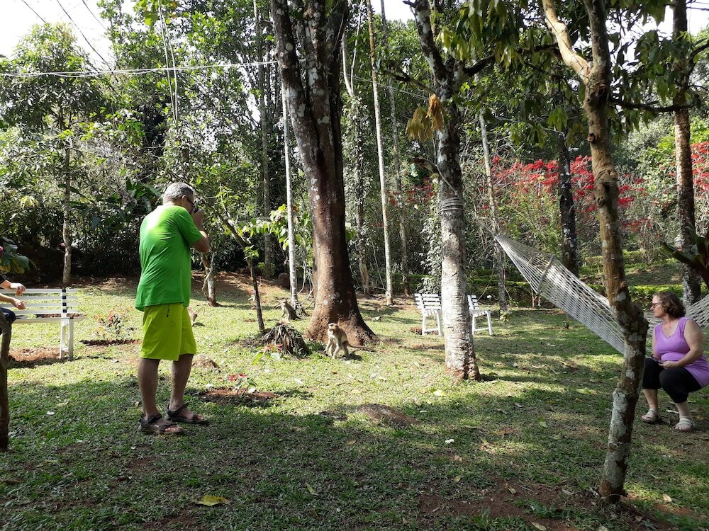 Фото Ambady Estate