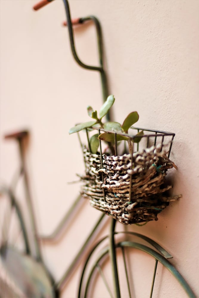 Фото Mantenga Lodge