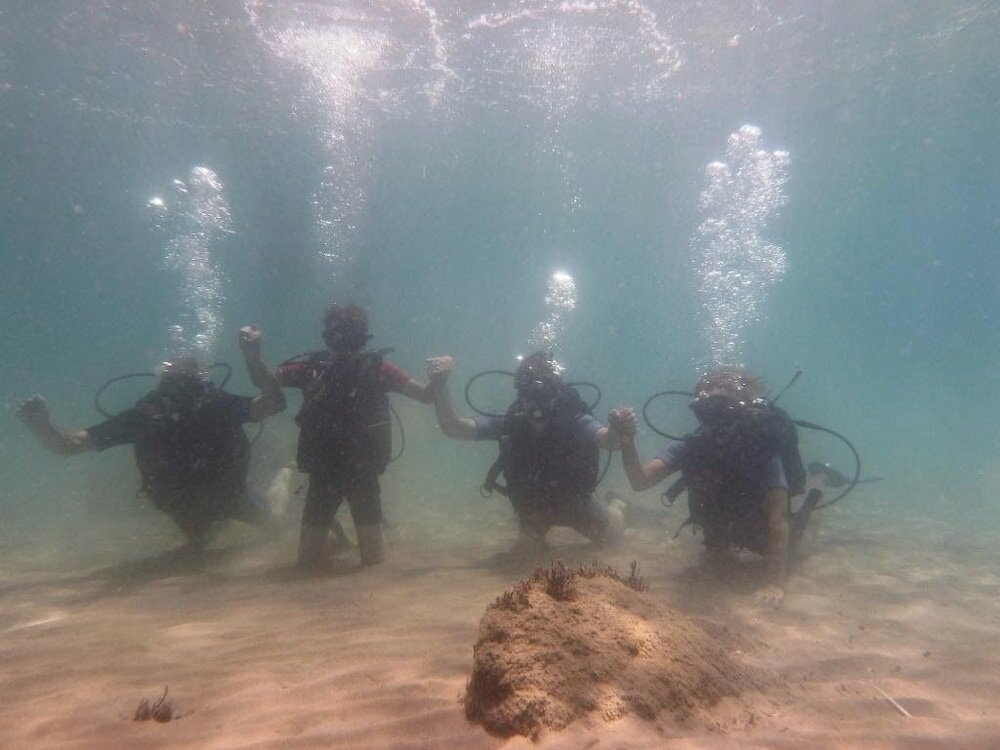 Фото Вилла Alegria