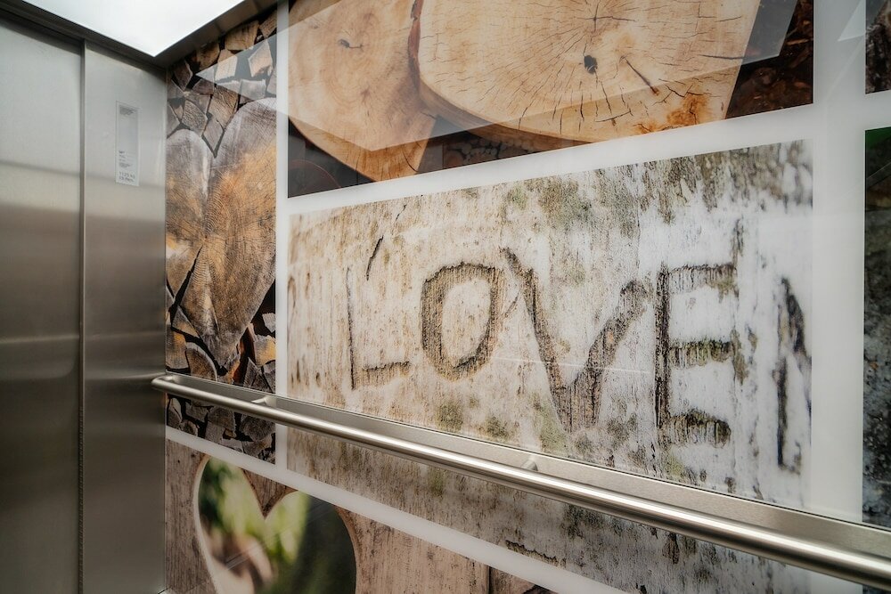 Фото The niu Timber