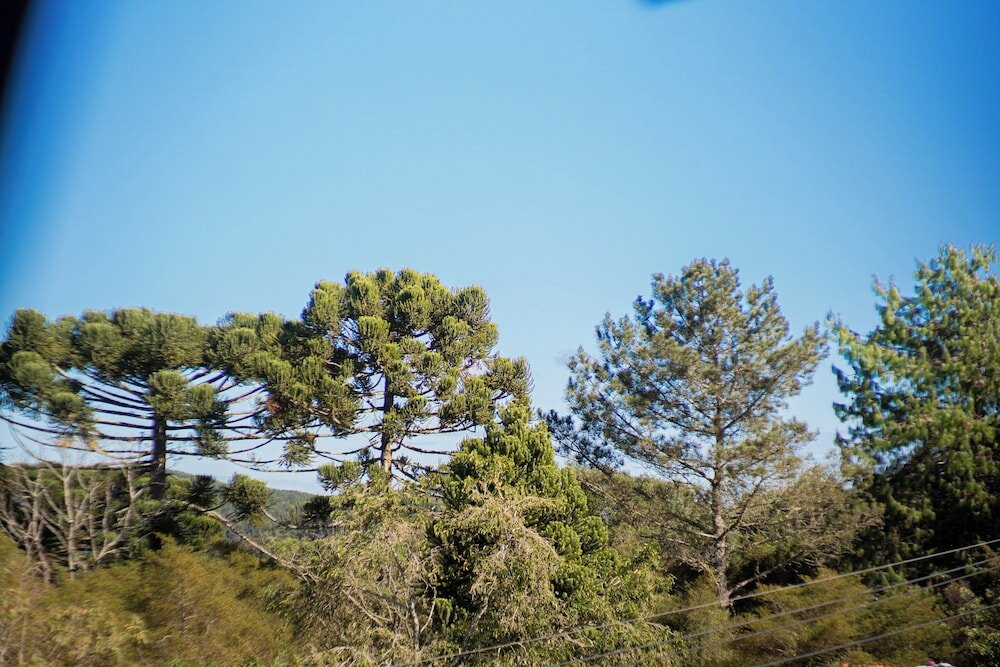 Фото Pousada Suiça Mineira