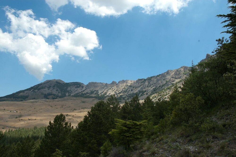 Фото Il Vecchio Frantoio