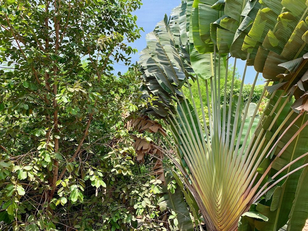 Фото Petit Villa Boutique & SPA