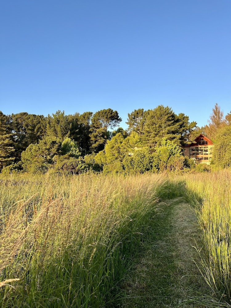 Фото Hotel Puerta del Sur