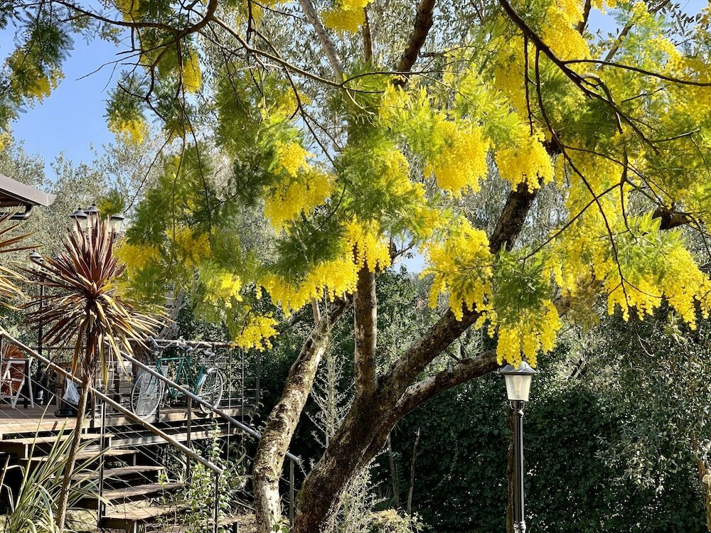 Фото L'Ennesima Osteria con Alloggio - Bike Hotel