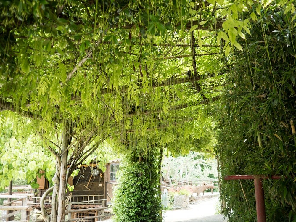 Фото Villa De Luccheri