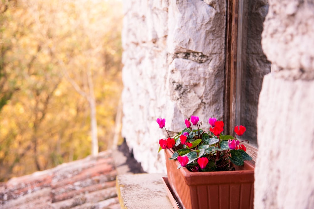 Фото Villa De Luccheri