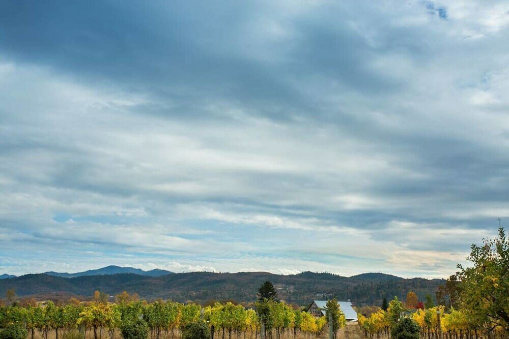 Фото Raven Suite at Rellik House. Winery & Alpaca Farm