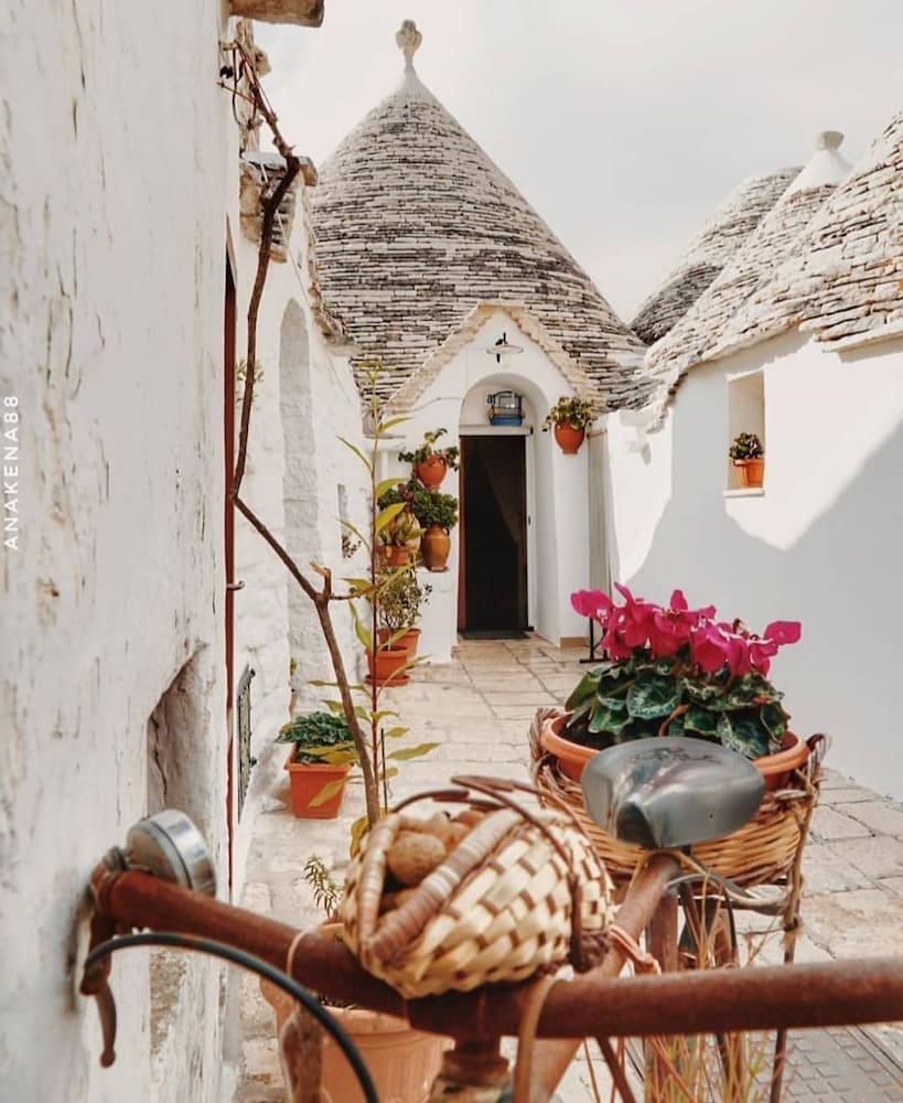 Фото B&b Il Nido delle Rondini