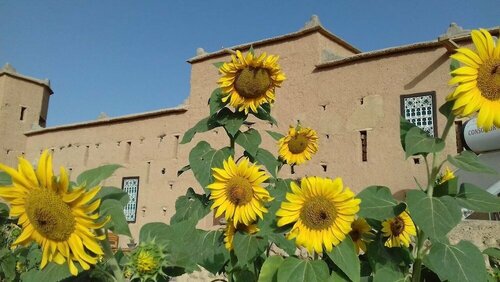 Kasbah Izoran