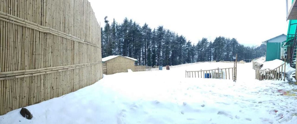 Фото Junglee Camps & Resort