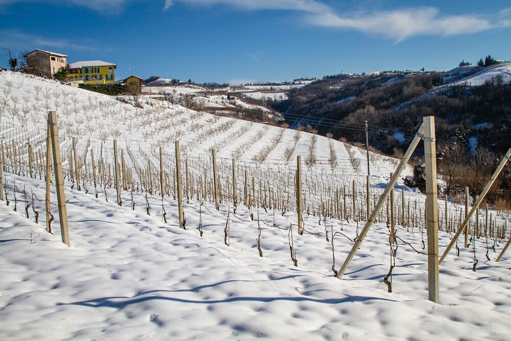 Фото Agriostello delle Langhe