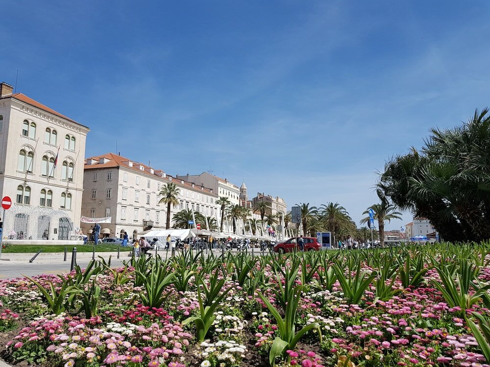 Фото Apartments Moni