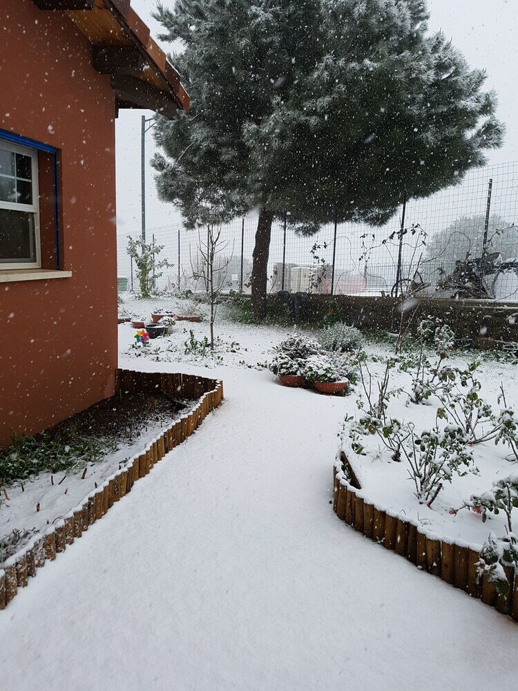 Фото Zimmer Cigale