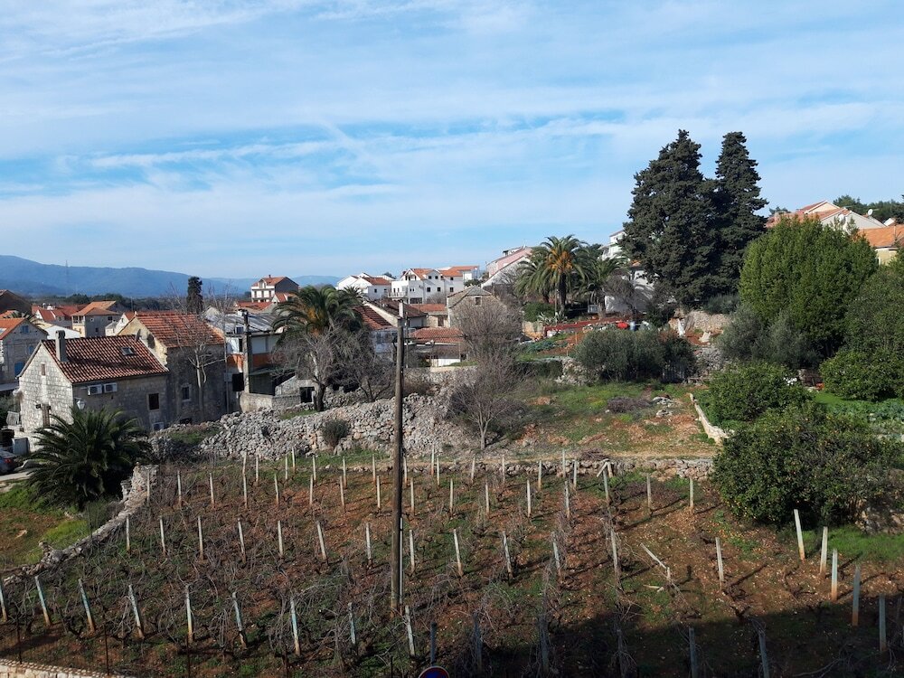 Фото Mediteran Rooms