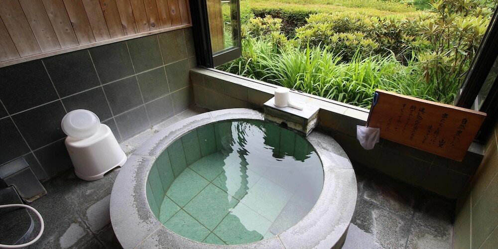 Фото Pension Vent Vert