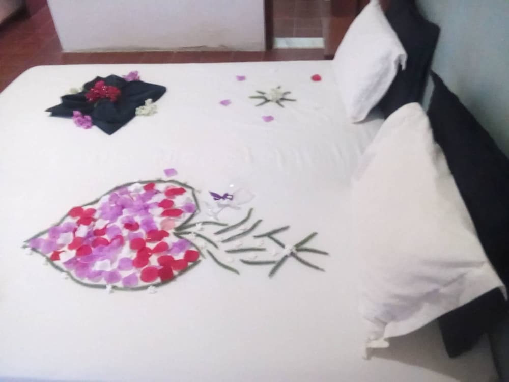 Фото Hotel Limeira