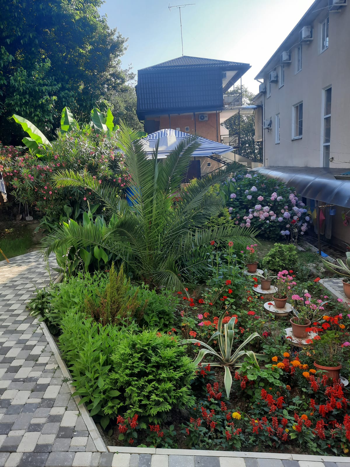 Фото отеля 5