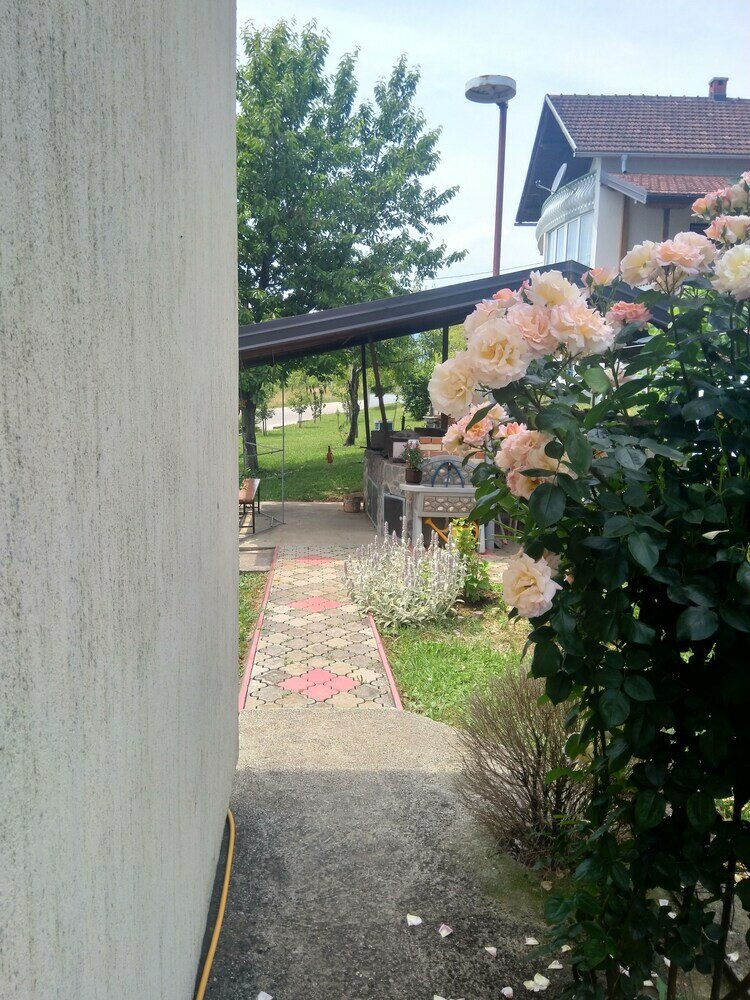 Фото Big mama's Apartments