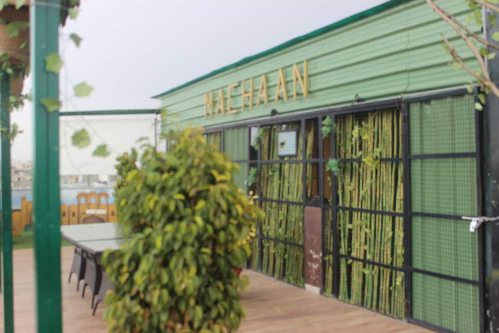 Фото Hotel Safari