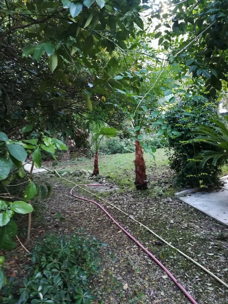 Фото Gabbiano Bianco