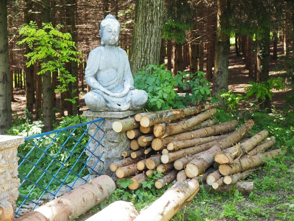 Фото Guest house Sara Latin