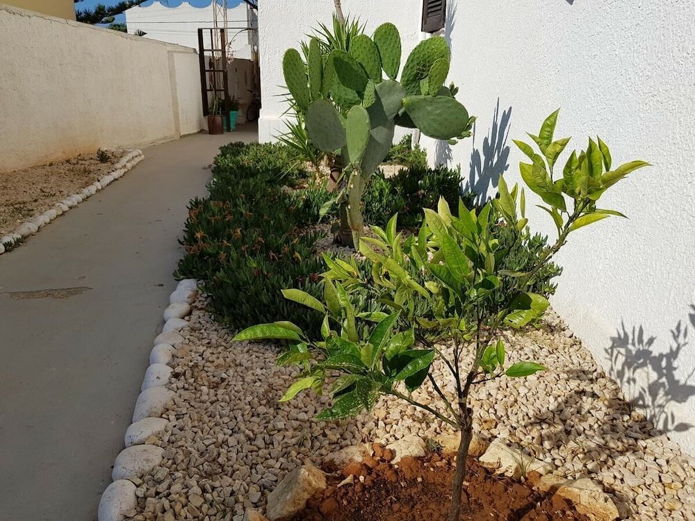 Фото Villa Rossella