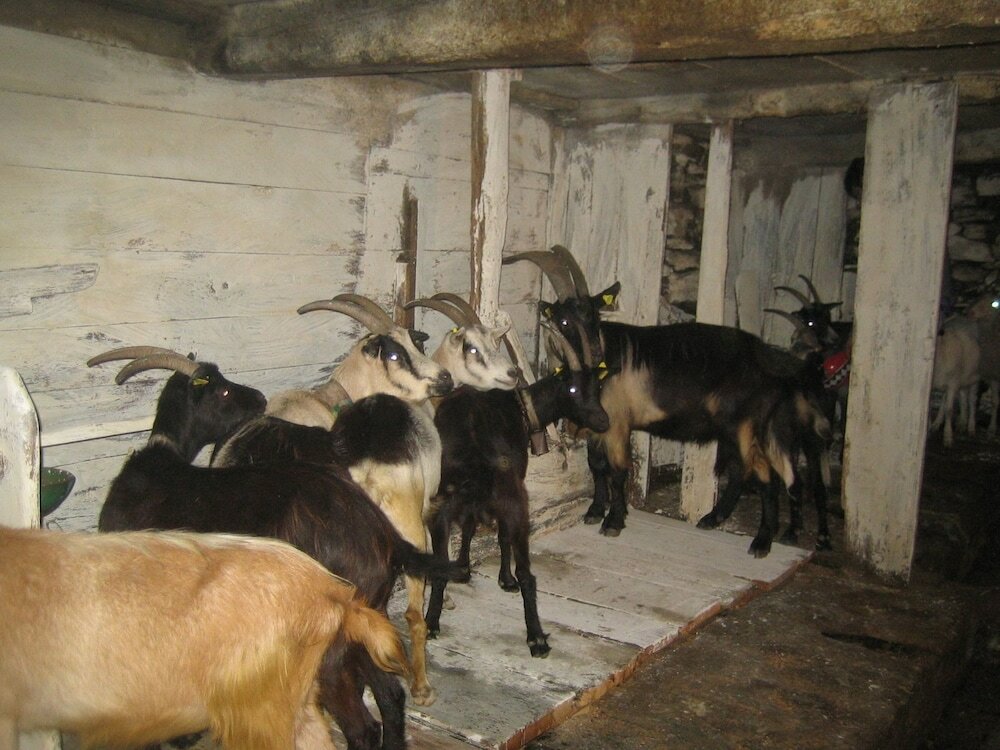 Фото Agriturismo Alagna