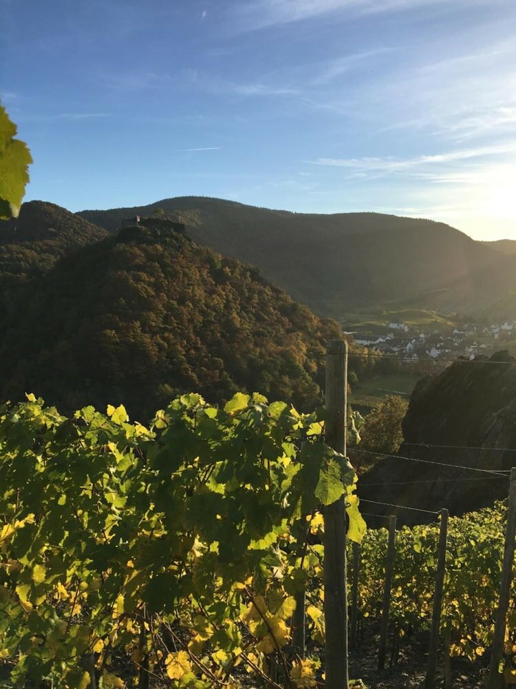 Фото StadtHotel Arte