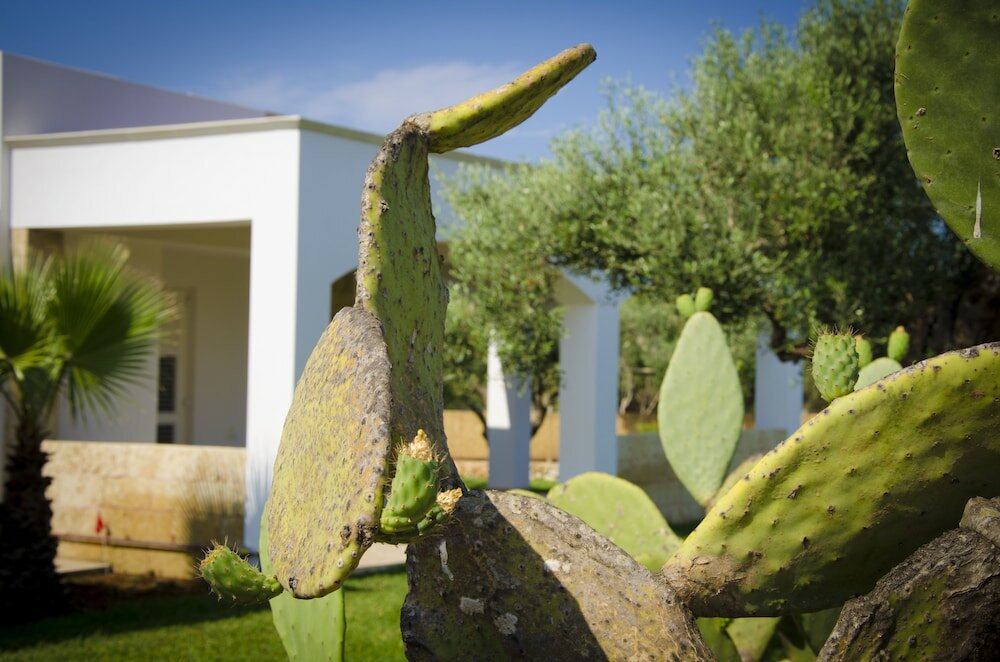 Фото Villa Nisapiro'