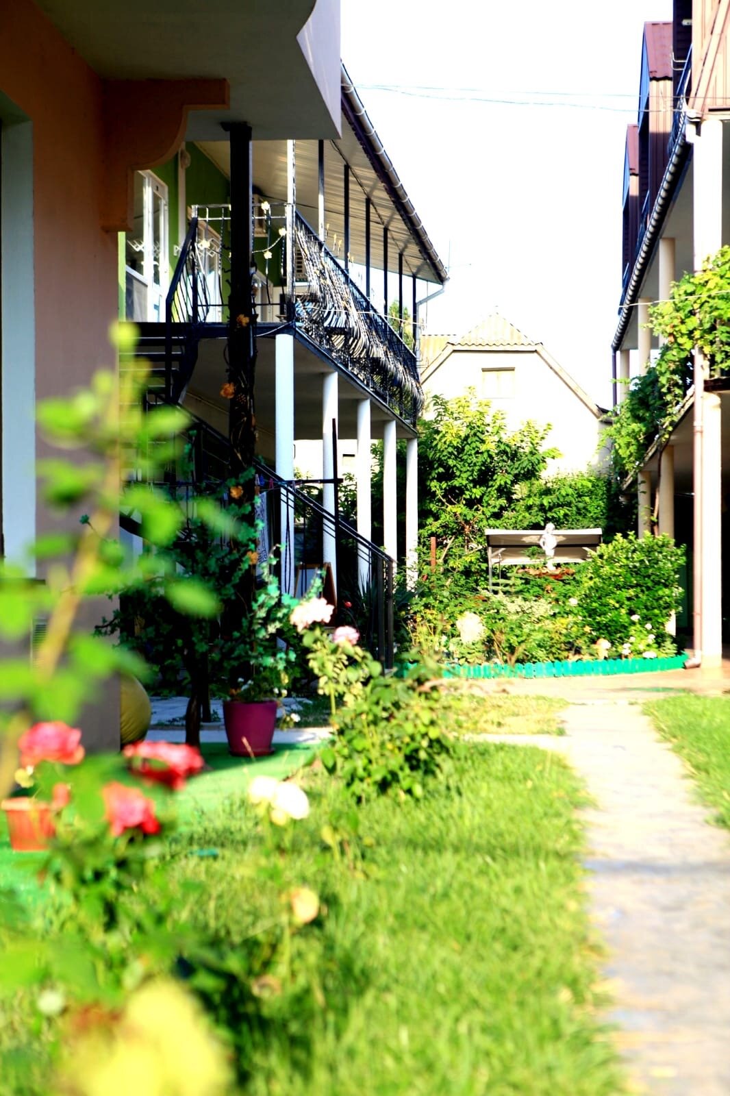 Фото Колибри