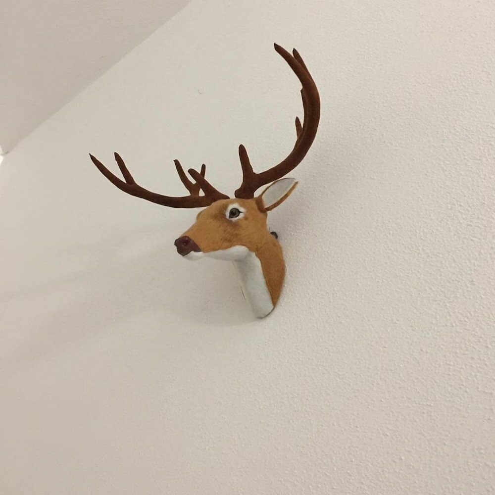 Фото Il Capriolo Bed&Breakfast