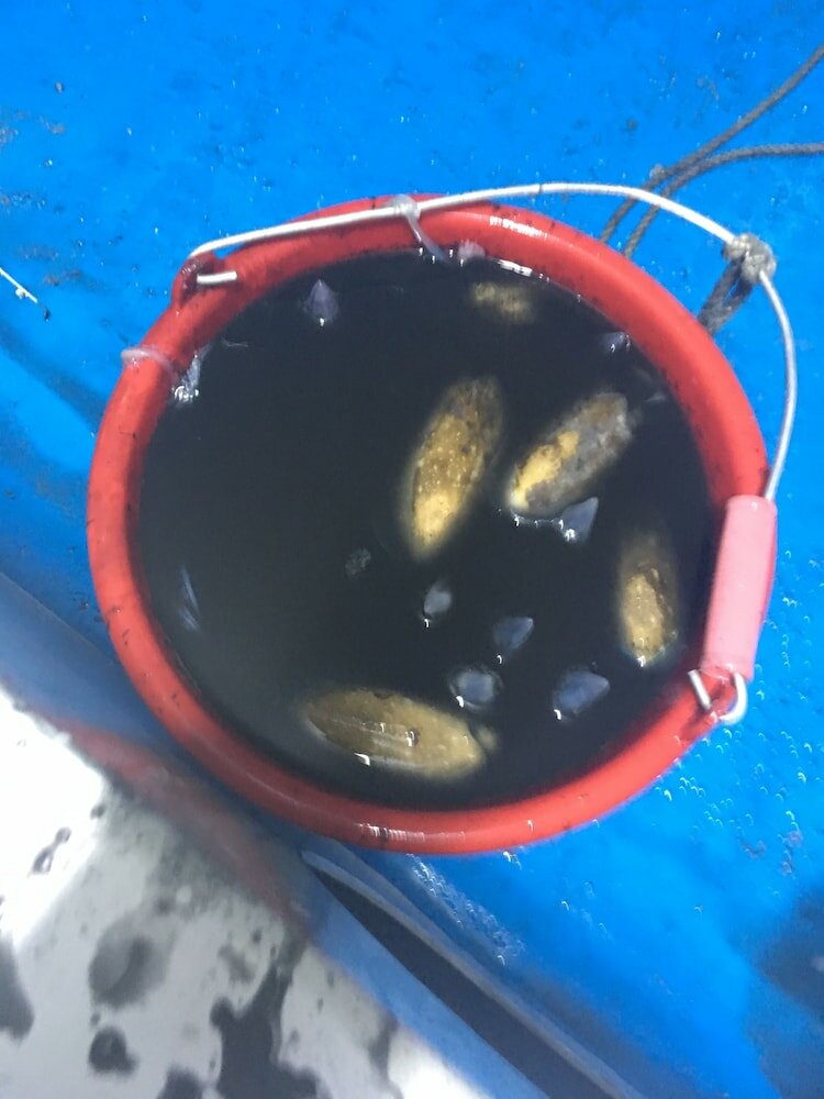 Фото Aluba Hostal